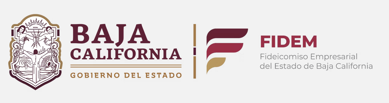 Logotipo de FIDEM